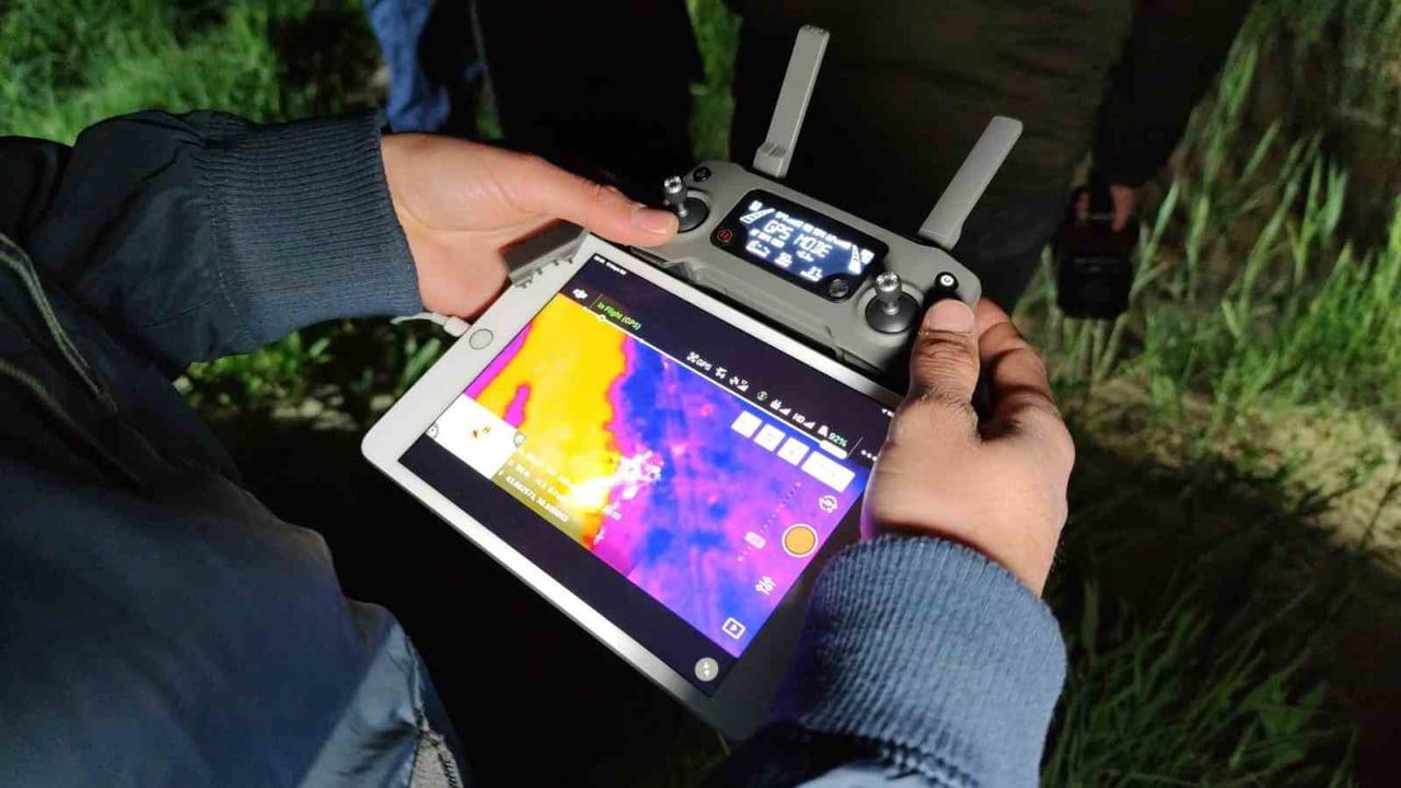 İnci kefalleri 15 Nisan-15 Temmuz av yasağında Van İl Jandarma Komutanlığı korumasında