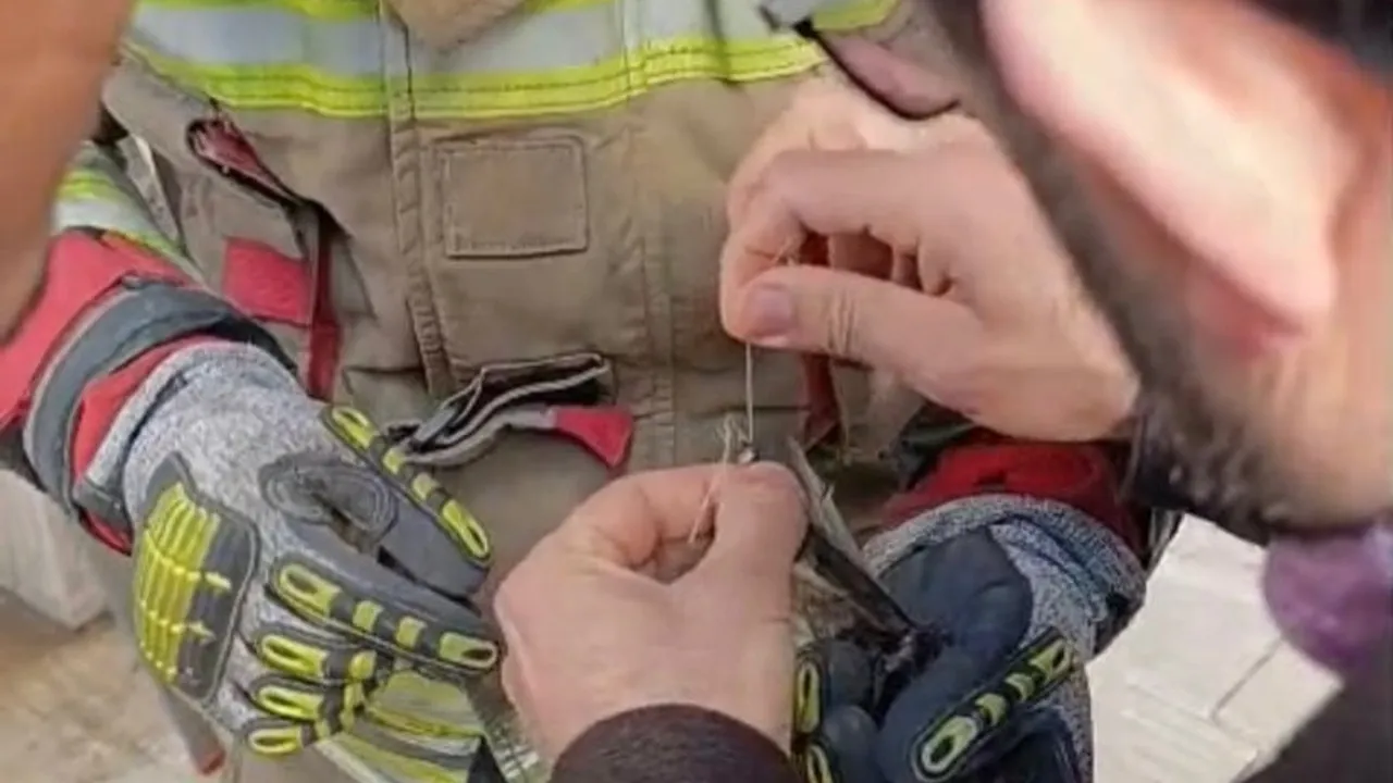 İskenderun'da ipe dolanan kuş itfaiye ekipleri tarafından kurtarıldı