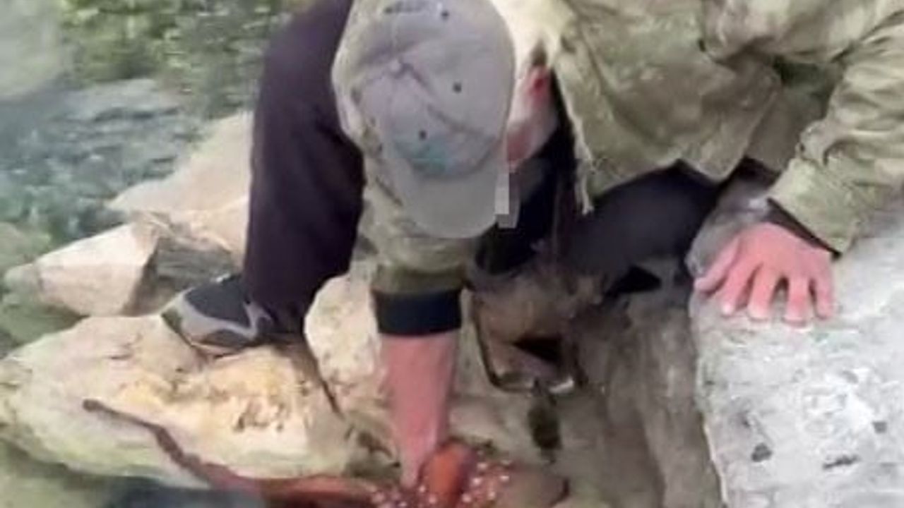 Karaburun'da balıkçı kayalıklardan 3 kilogramlık ahtapotu elleriyle yakaladı