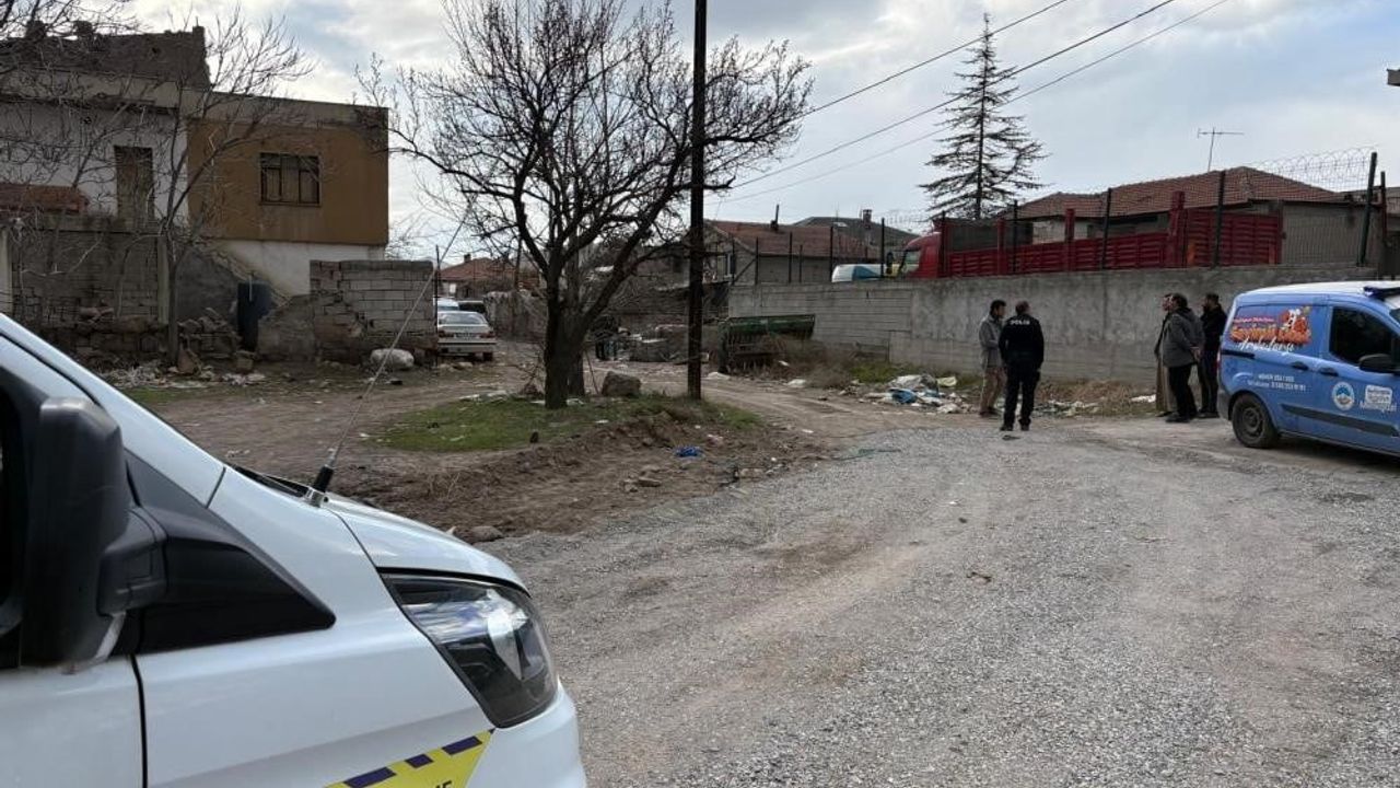 Kayseri'de 3 Yaşındaki Çocuğa Saldıran Köpeğin Resmî Olmayan Sahibi Tespit Edildi