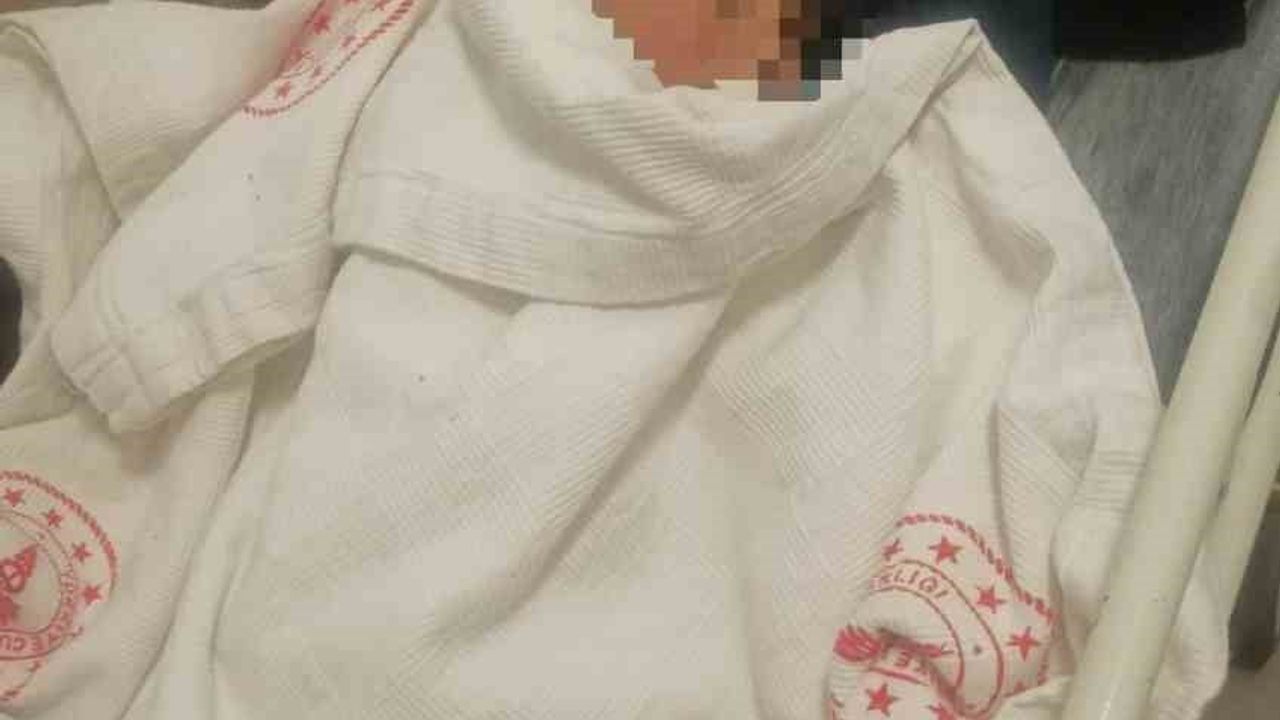 Kayseri'de başıboş köpek 3 yaşındaki çocuğa saldırdı; tedavi Ankara'da sürüyor