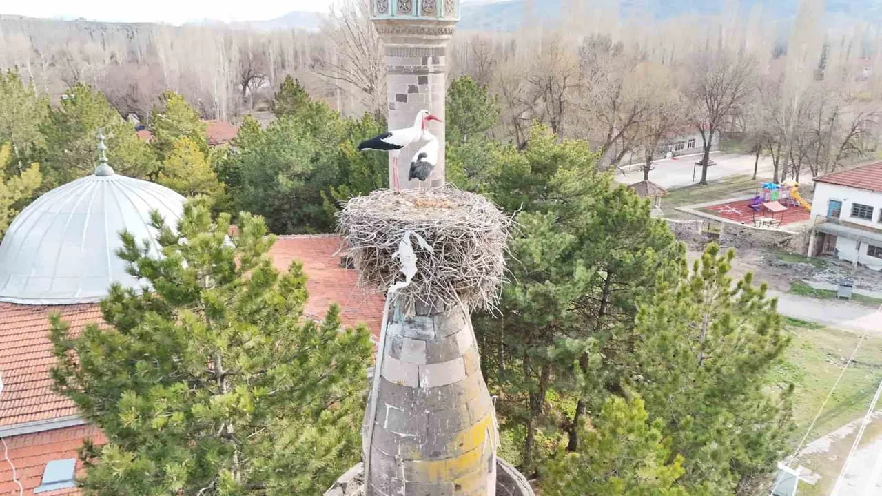 Kayseri'nin Şıhbarak Mahallesi'nde leylekler yuvalarına döndü, minare korundu