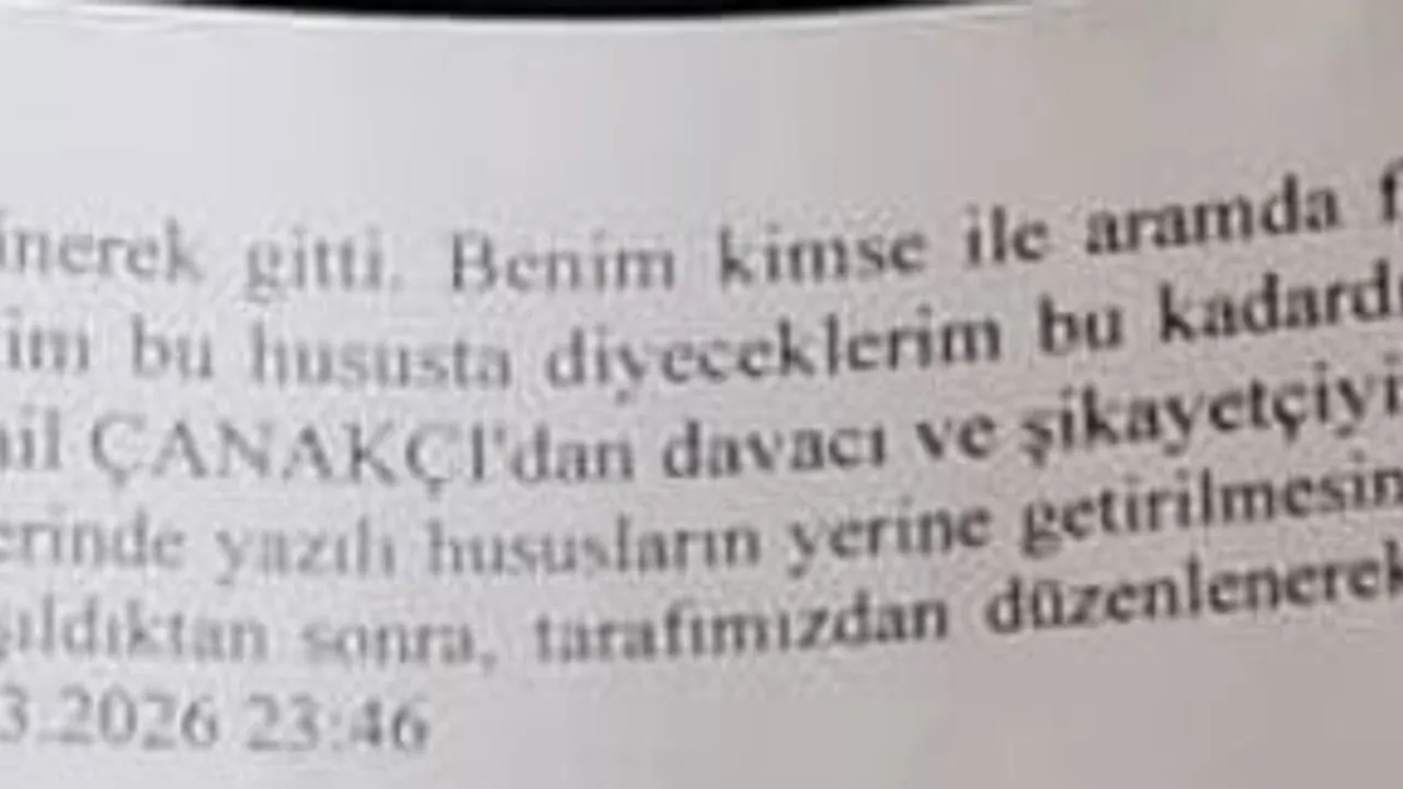 Kırşehir'de Özbağ Belediye Başkanı İsmail Çanakçı hakkında şizofreni hastasının darbedildiği iddiası