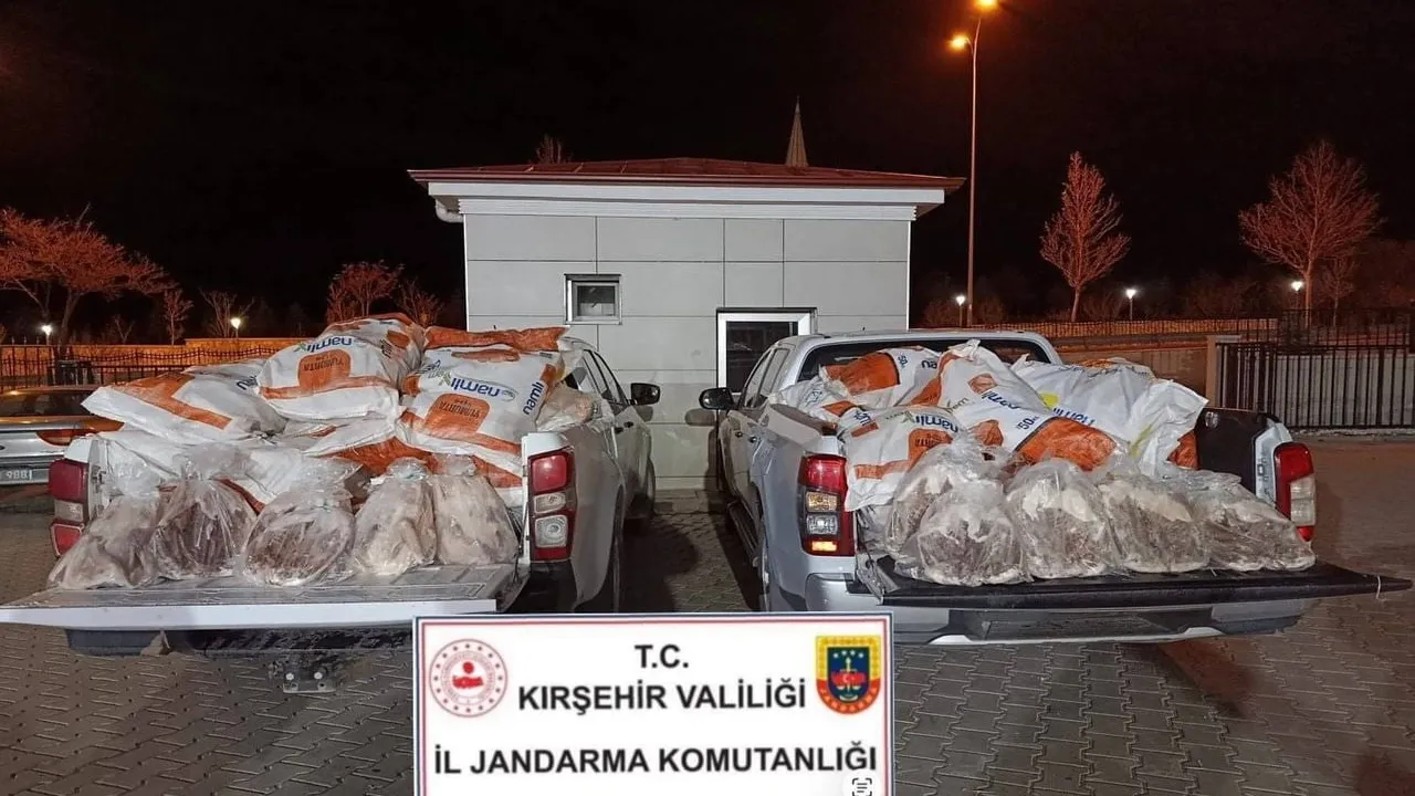 Kırşehir'de yol kontrolünde 1 ton 200 kilogram sağlıksız kaz eti ele geçirildi