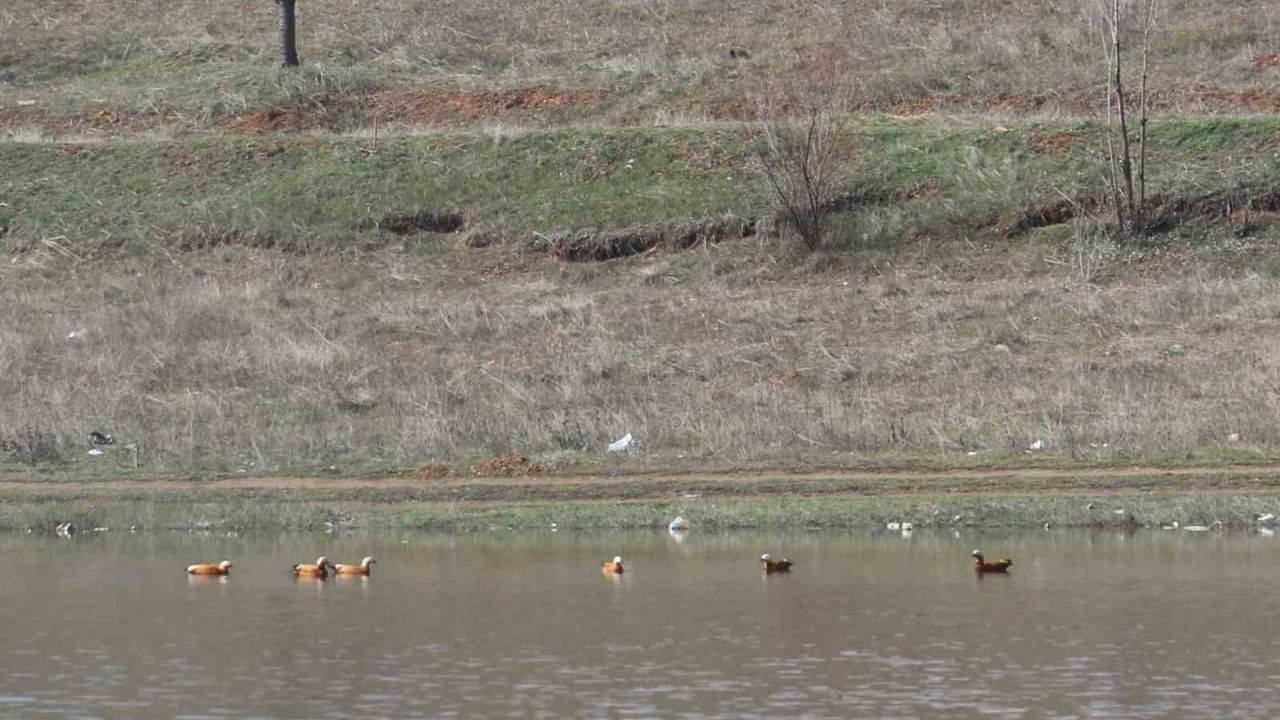 Kızılca Göleti kış yağışlarıyla yeniden doldu