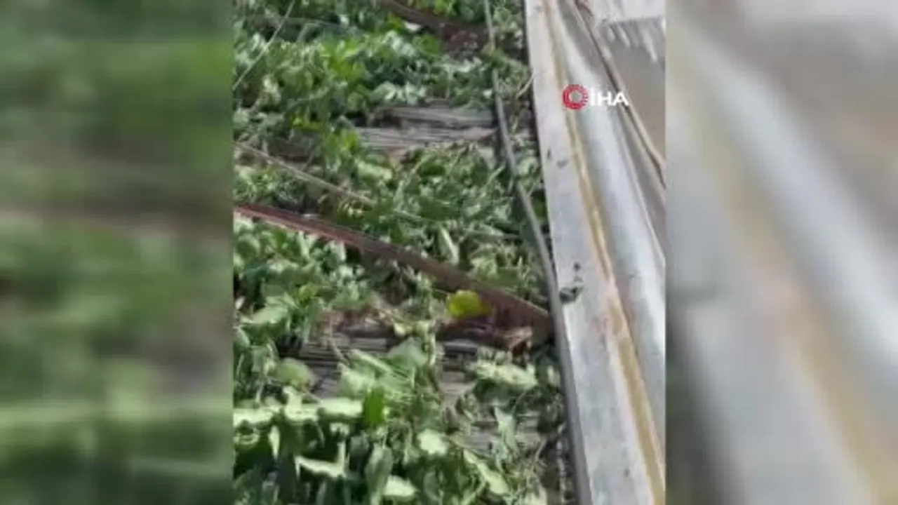 Kumluca'da Hortum Seralara Zarar Verdi: Sarıkavak'ta Yaklaşık 10 Dönüm Etkilendi