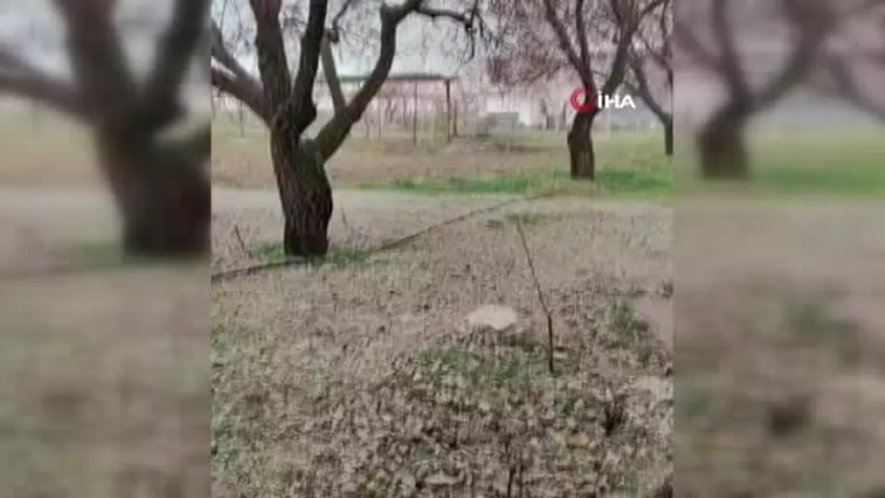 Malatya'da Kırsal Bölgelerde Etkili Olan Kısa Süreli Dolu Yağışı