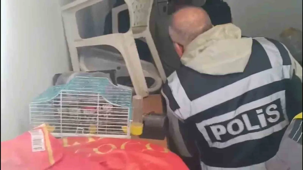 Marmaris’te Yabancı Turistlerin Kredi Kartlarını Kötüye Kullanan 4 Şüpheli Yakalandı