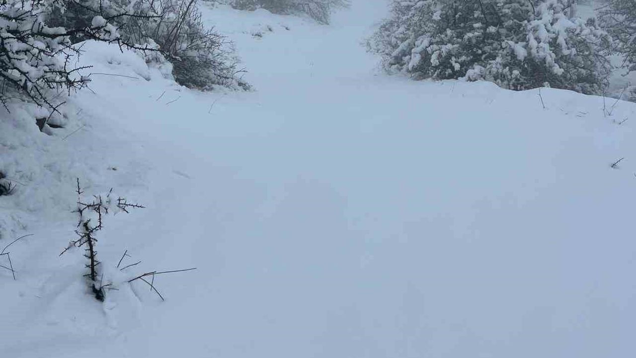 Mart Sonunda Karıncalı Dağı'nda Kar Yağışı: Bozdoğan'da Yüksek Kesimler Beyaza Büründü