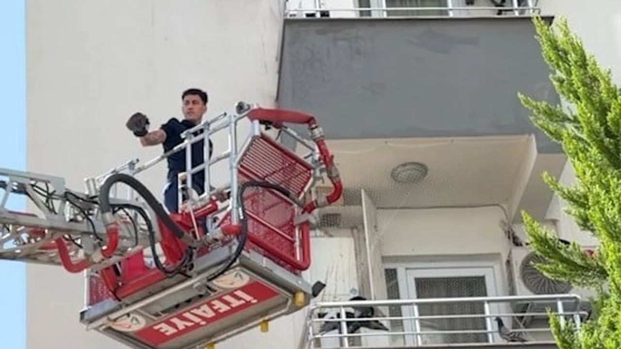 Mersin'de balkon filesine takılan güvercin itfaiye tarafından kurtarıldı