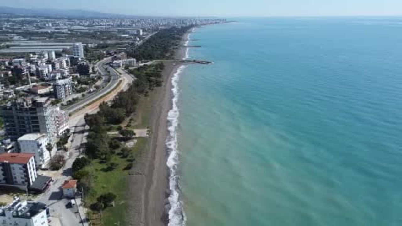Mersin kıyılarına zehirli denizanaları vurdu