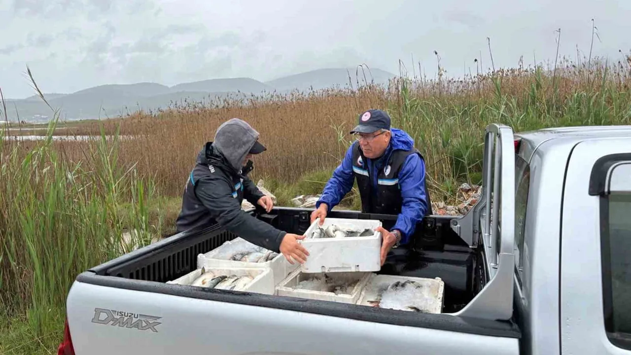 Milas’ta kaçak avcılıkla mücadele: Güllük Lagünü’nde 80 kilogram kefal ele geçirildi