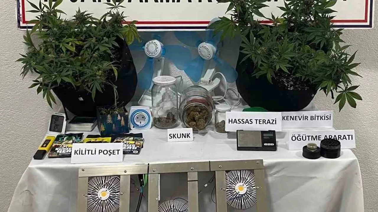 Muğla'da jandarma uyuşturucu operasyonu: 42 gözaltı, 7 tutuklama