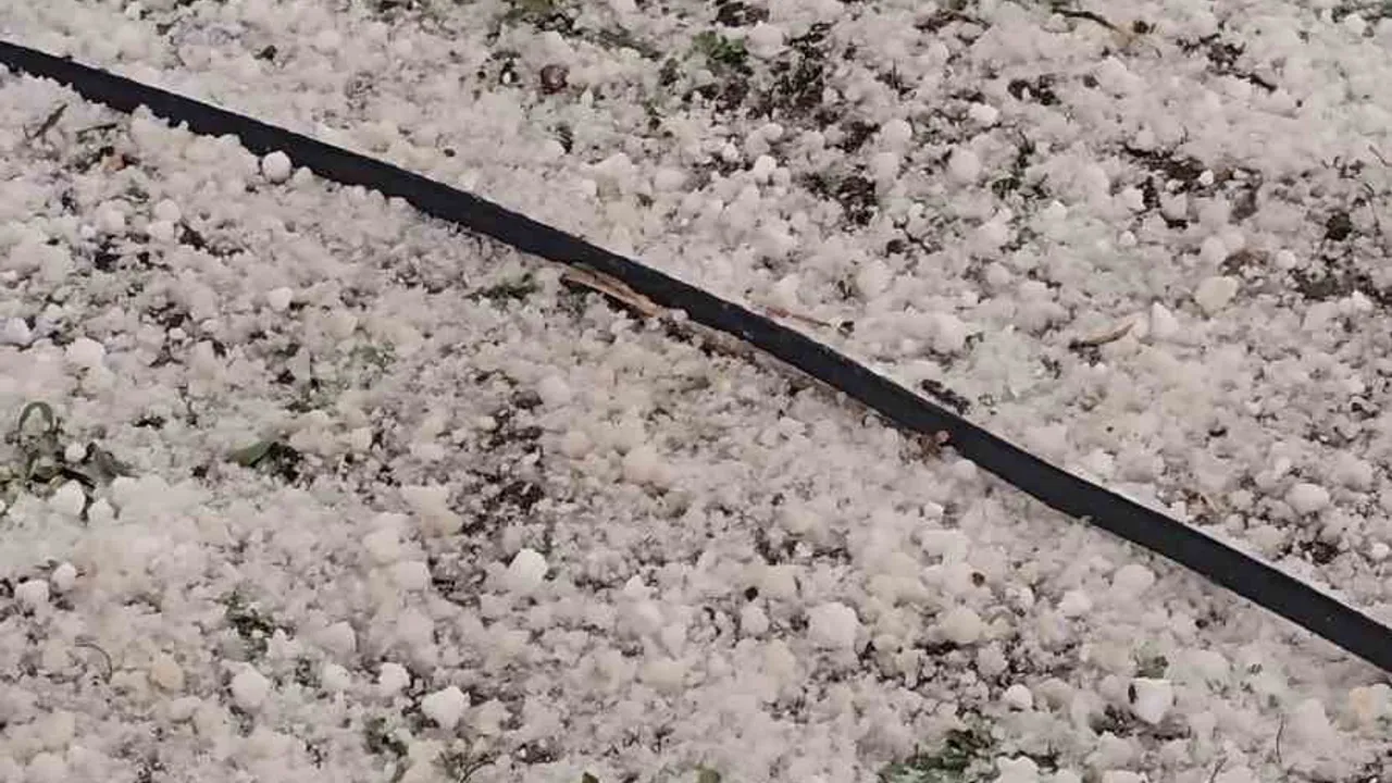 Niğde'de Öğle Saatlerinde Dolu ve Sağanak Yağış: Tarımda Endişe