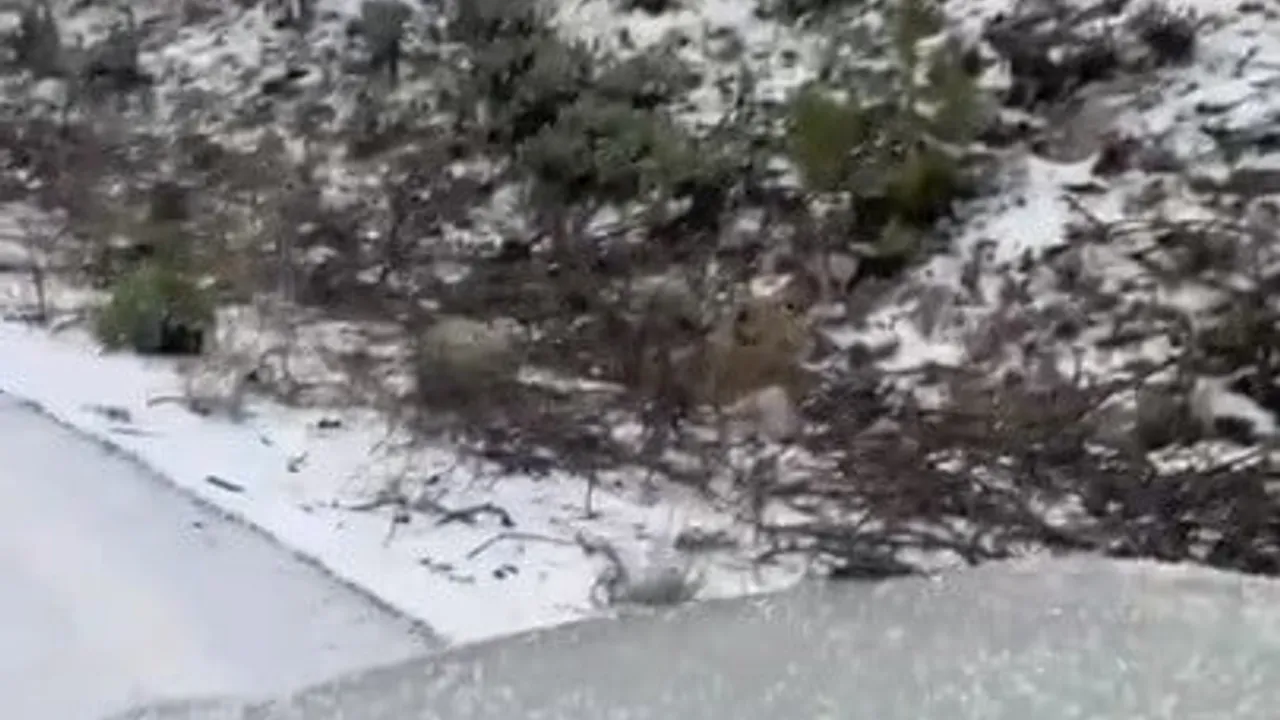 Osmaniye Zorkun Yaylası'nda Yoğun Dolu Hayatı Olumsuz Etkiledi