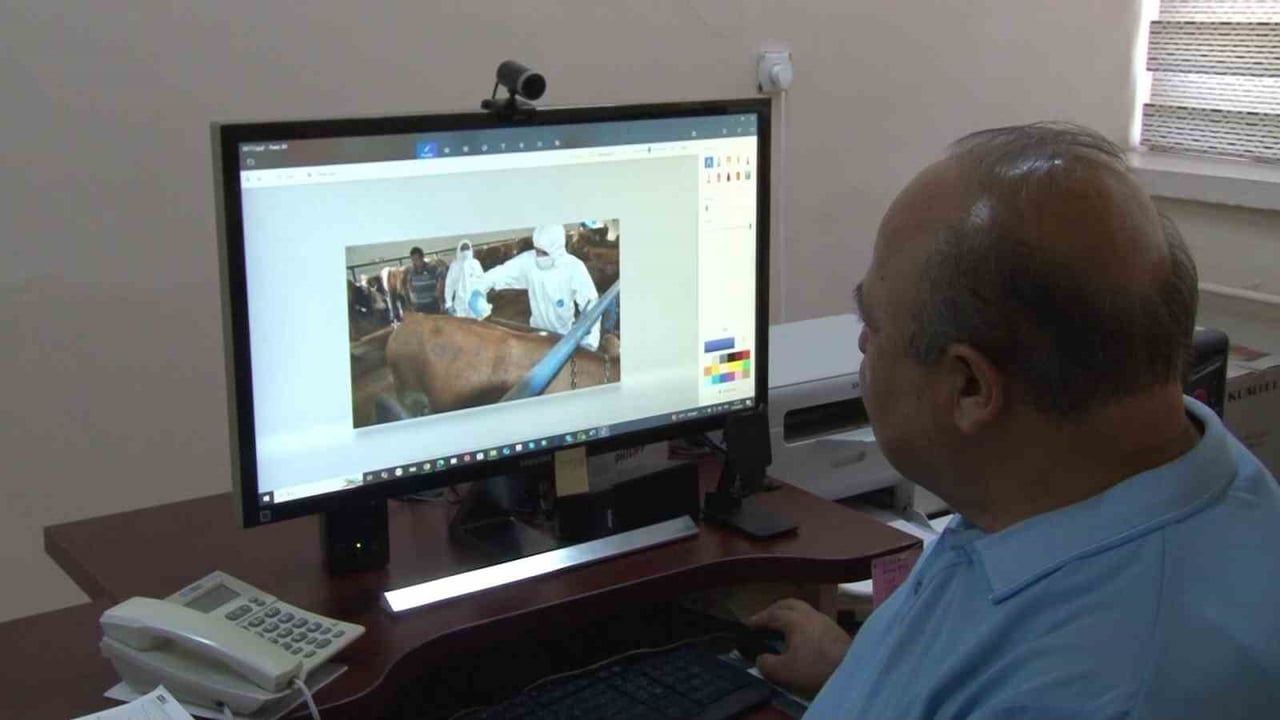 Prof. Dr. İlhan Çetin: Yağışlar kene popülasyonunu artırabilir, erken tedbir önerildi