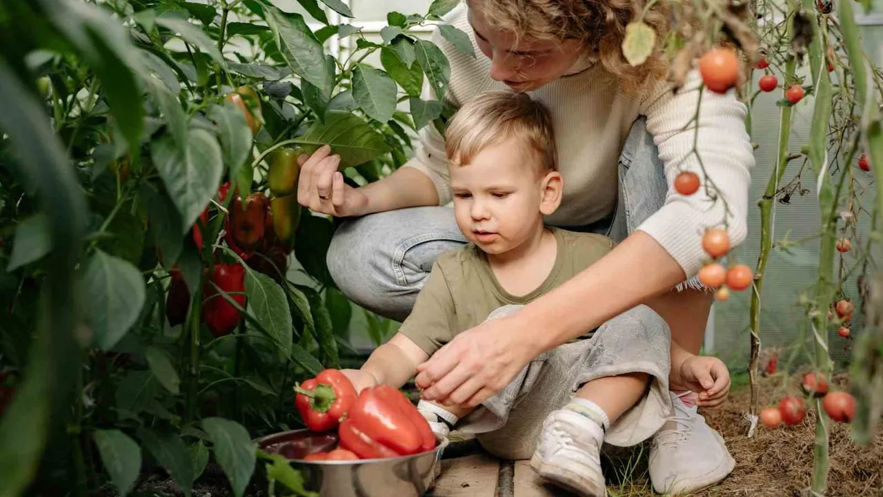 Sakarya'da 'Minik Eller Tarım Atölyesi' ihaleye çıkıyor; okullar için açık hava laboratuvarı hedefleniyor