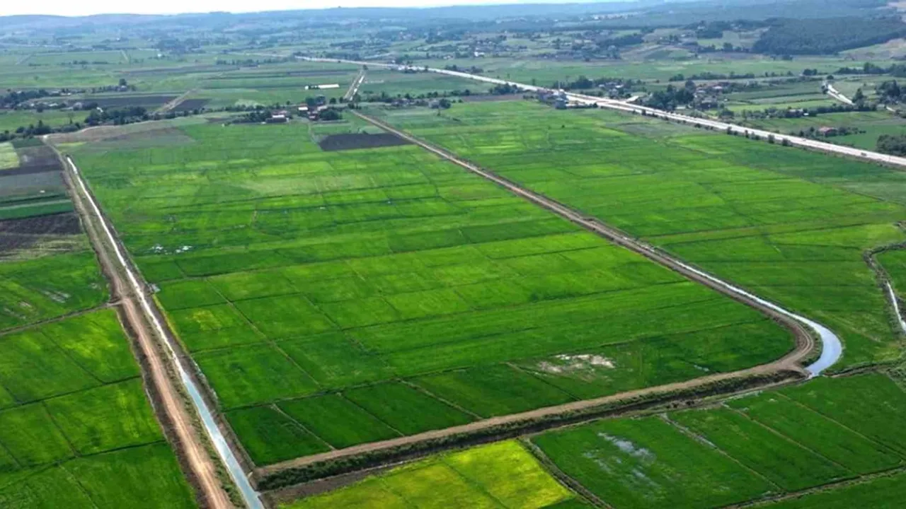 Samsun'da tarımsal alan denetimleri: 16 bin 895 m2 için 48 cezai işlem uygulandı