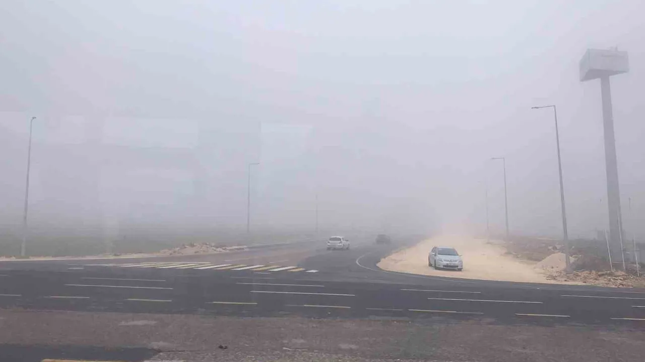 Şanlıurfa'da Sabah Saatlerinde Yoğun Sis Görüşü Düşürdü, Trafikte Aksamalar Yaşandı