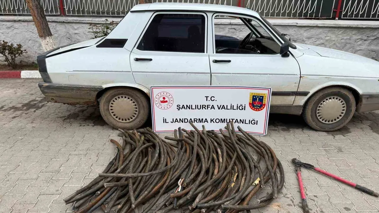 Şanlıurfa'da TİGEM Ceylanpınar arazisinde 69 kuyunun kablolarını çalan zanlı suçüstü yakalandı