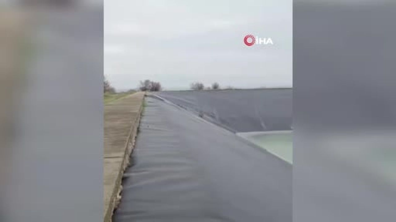 Şanlıurfa'da yapay gölete düşen çakal itfaiye merdiveniyle kurtarıldı