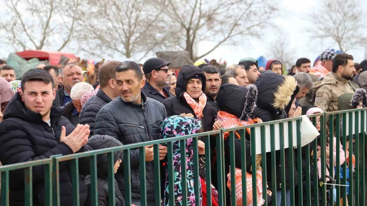 Saruhanlı'da İkincisi Düzenlenen Deve Güreşleri Festivali'ne Binlerce Kişi Katıldı