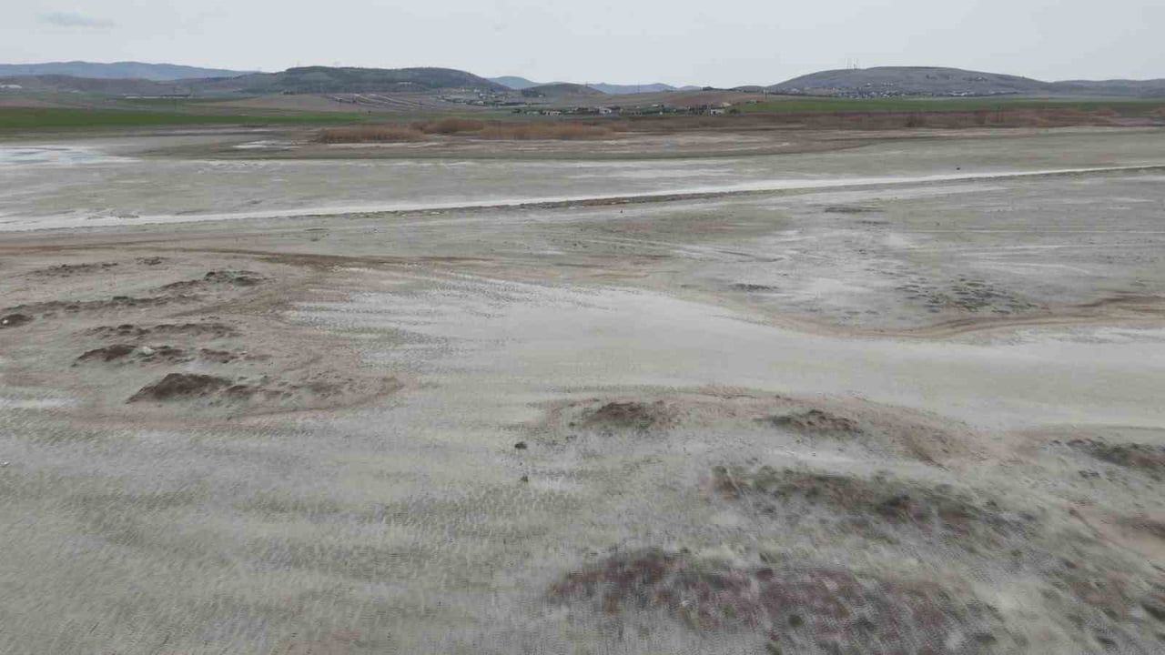 Sel Kapanı Baraj Gölü'nde kuruma: Allı turnalar ve birçok kuş türü bu yıl konaklamadı