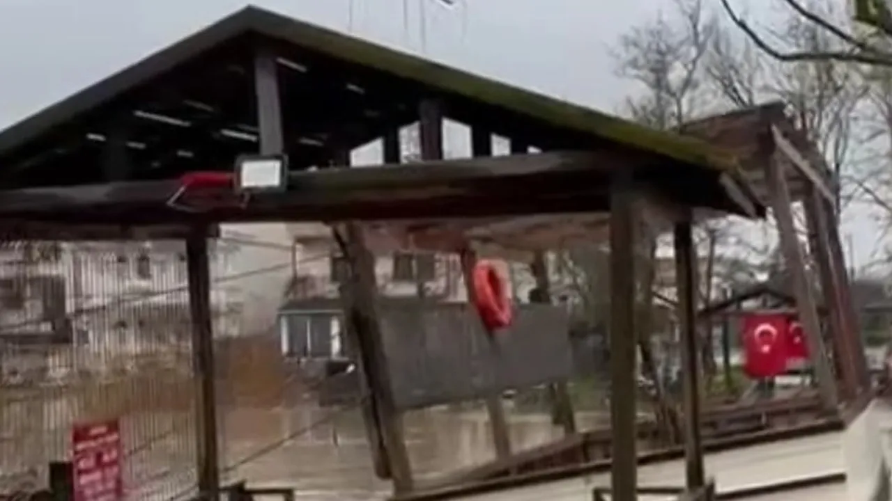 Şile’de sağanak: Kumbaba’daki dere taşkını çay bahçesini su altında bıraktı