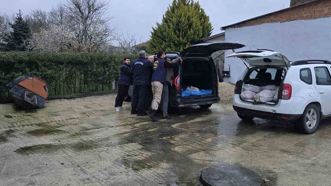 Silivri'de 306 kilo satışa hazır at eti ele geçirildi, 3 kişi gözaltında