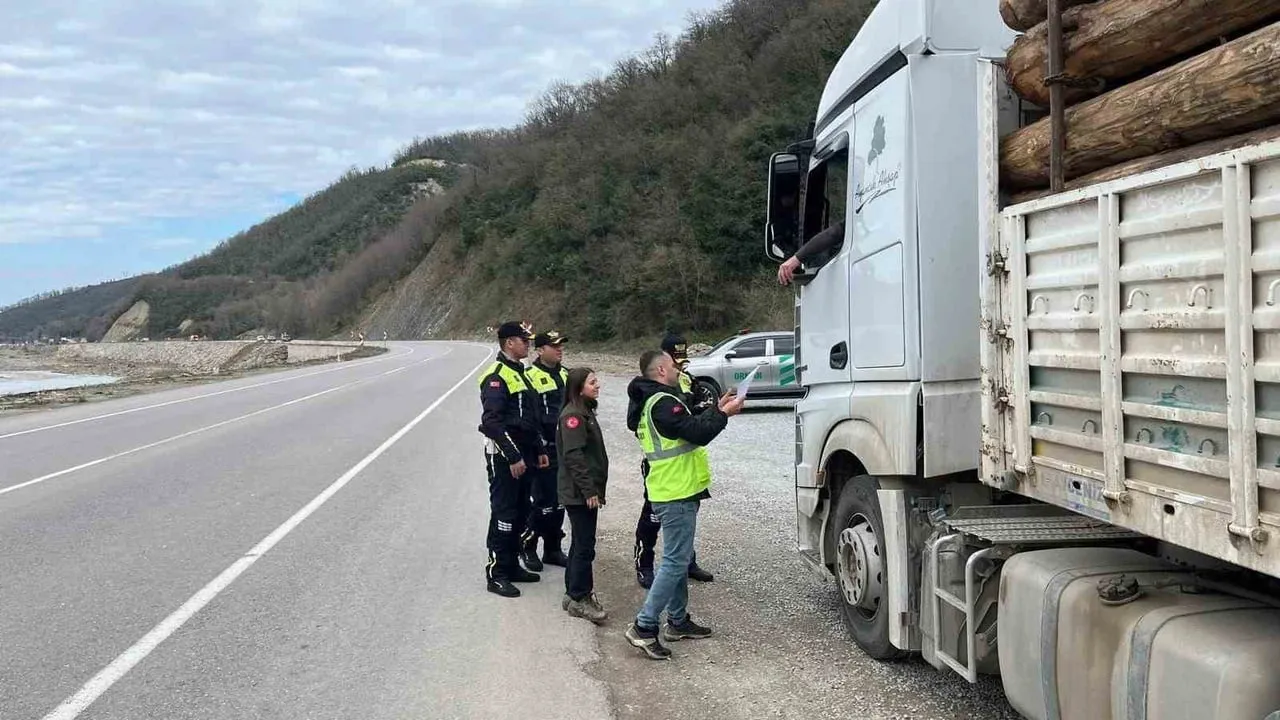 Sinop'ta ormanlara koruma kalkanı: Ayancık, Boyabat ve Türkeli'de önleme aramaları
