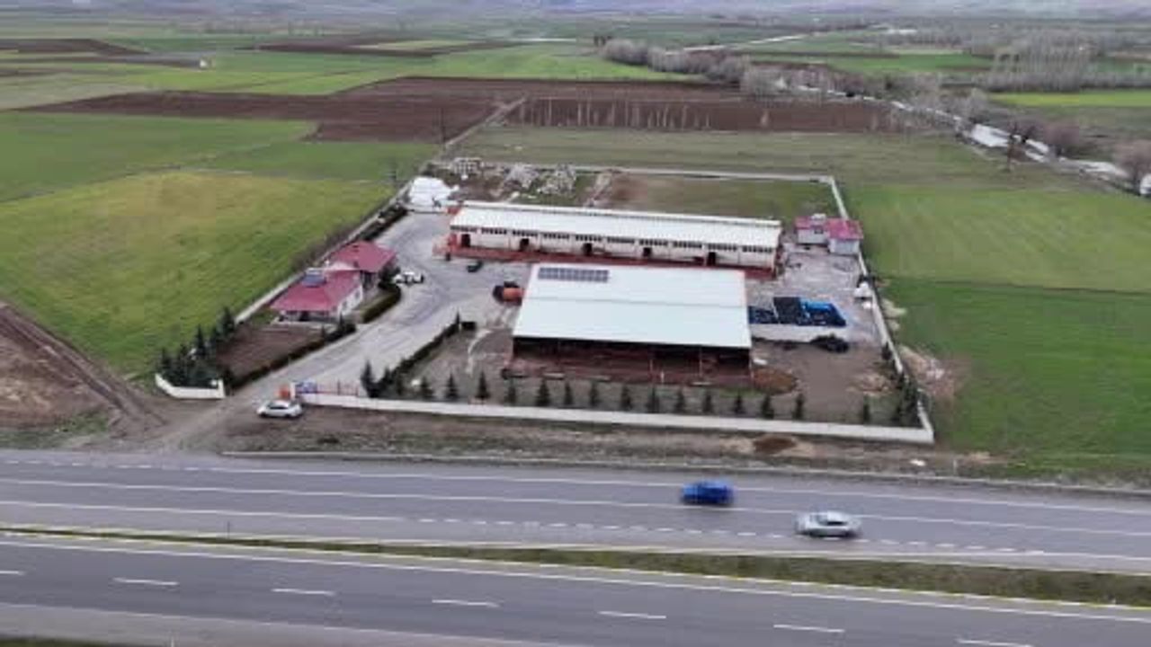 Sivaslı Enes Öksüm (20): Üniversiteyi Bırakıp Dededen Kalan Çiftliği Jersey Sığırlarıyla Modernize Ediyor