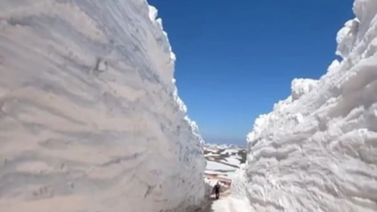 Tokat Taşlıca Yaylası'nda kar birikintileri yolu tünel görünümüne dönüştürdü