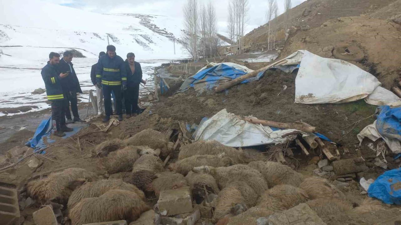 Van Gürpınar'da Ahır Çökmesi: 23 Küçükbaş Telef, 15 Yaralı Kurtarıldı