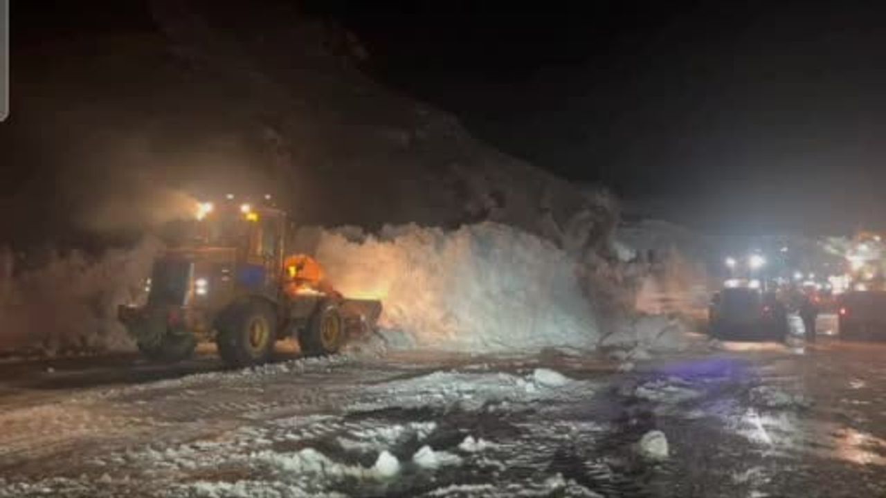 Van-Hakkari kara yolu çığın ardından yeniden ulaşıma açıldı