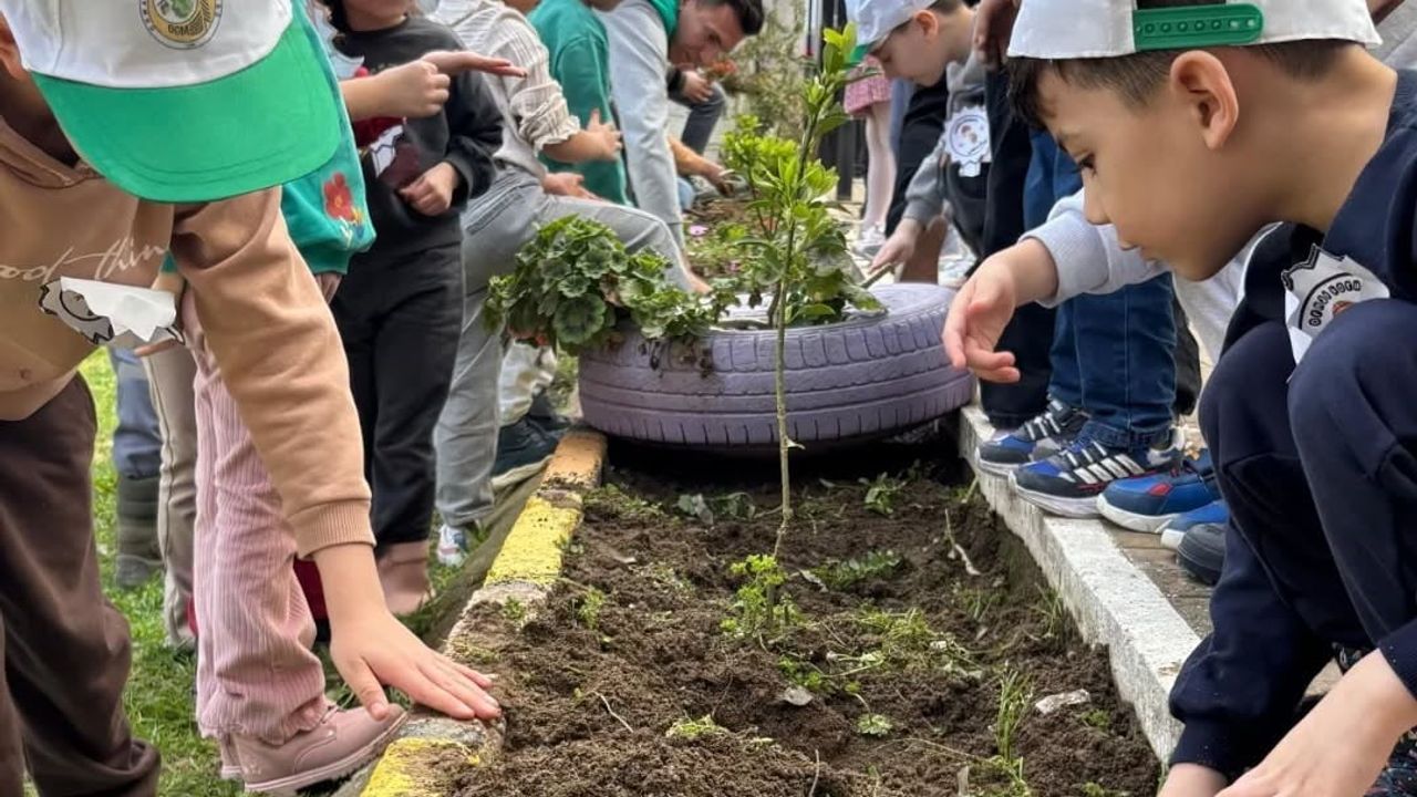Yenipazar'da 'Yeşil Vatan' Etkinliği: Anaokulu Öğrencileri Fidan Dikti