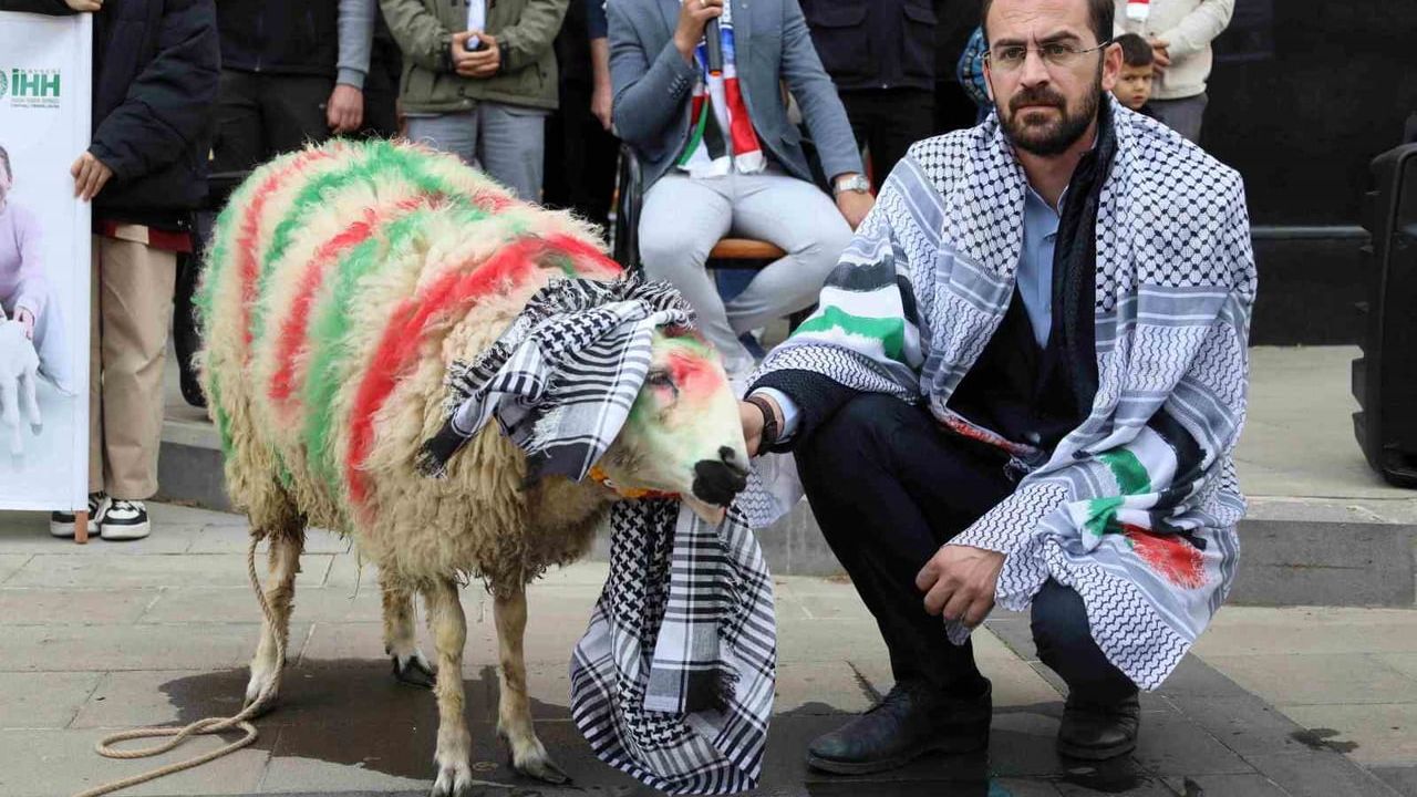 12 Yaşındaki Ecrin, Elleriyle Beslediği Kuzuyu Gazze'ye Bağışladı