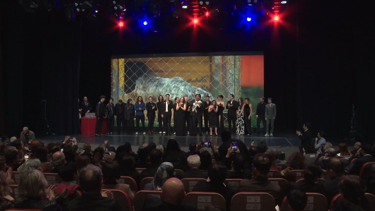 32 Sanatçı 'Bir Patinin Nesi Var?' Projesinde Sokak Hayvanları İçin Tek Şarkıda Buluştu