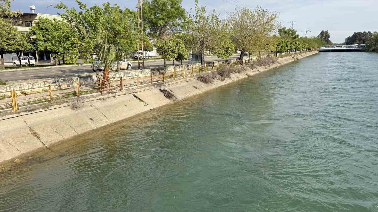 Adana'da sulama kanalına düşen 15 yaşındaki çocuk vatandaşlar tarafından kurtarıldı