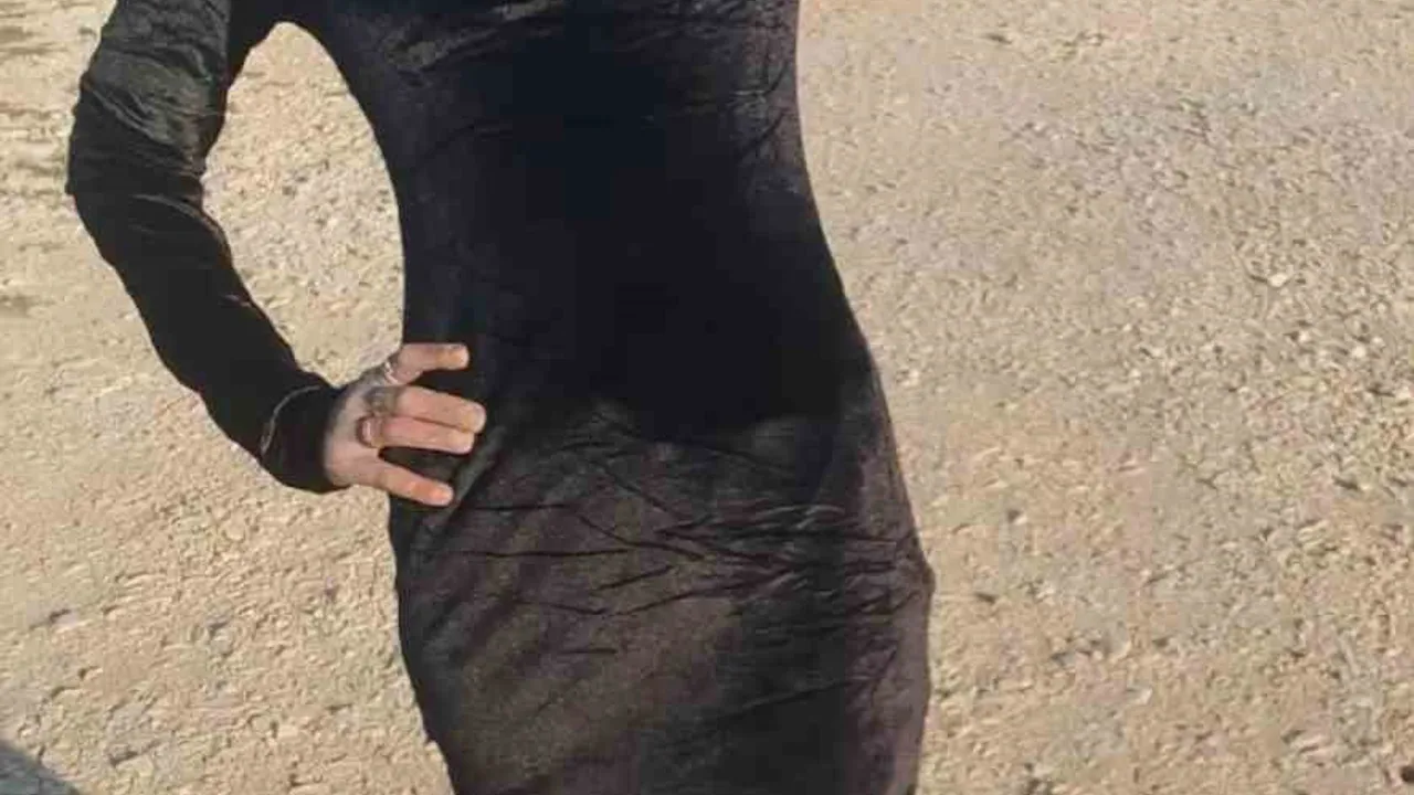 Adana'da TikTok sonrası evden kaçan bipolar hastası kadın: Annenin tedavi çağrısı