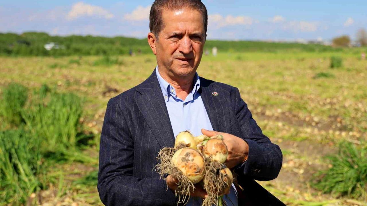 Adana'da turfanda soğan hasadı başladı: Verim düştü, üretici kilogramda en az 15 TL bekliyor