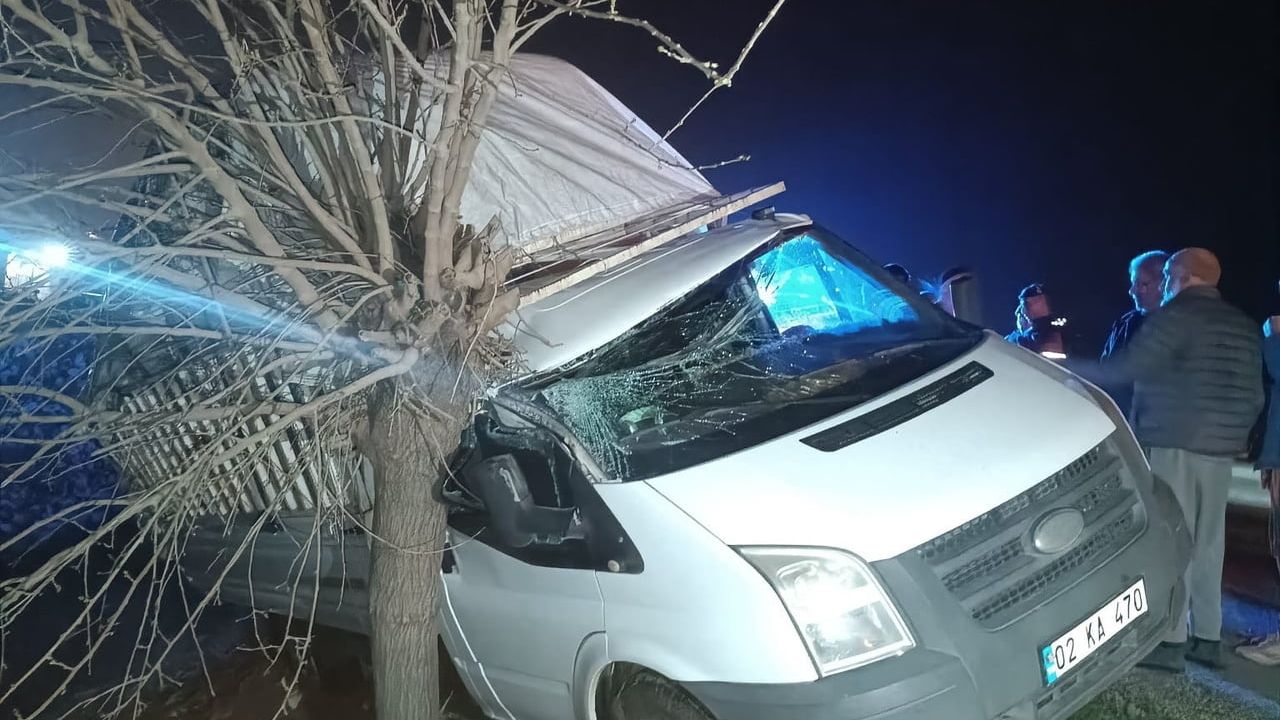 Adıyaman'da kamyonet şarampole girip ağaca çarptı: 1 yaralı