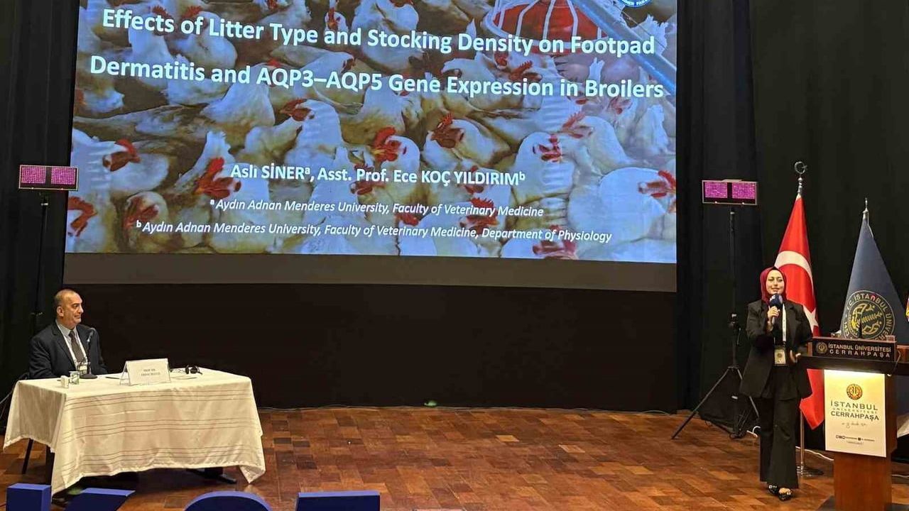 ADÜ’lü Aslı Siner, 25. Uluslararası Veteriner Hekimliği Öğrencileri Kongresi'nde Sözlü Sunum Birincisi