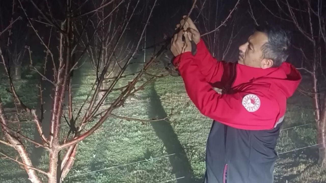 Afyonkarahisar'da kiraz bahçelerinde zirai dona karşı gece nöbeti