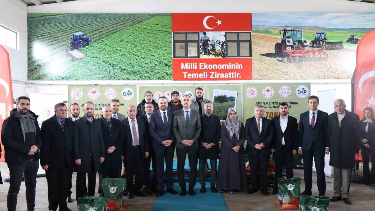 Ağrı'da 44 ton sertifikalı yonca tohumu 440 çiftçiye yüzde 70 hibe ile dağıtıldı