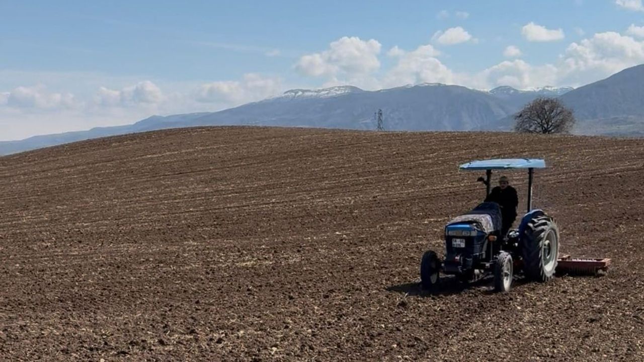 Akıncılar Belediyesi nohut ekimine başladı: Belediyeye ait araziler tarıma kazandırıldı