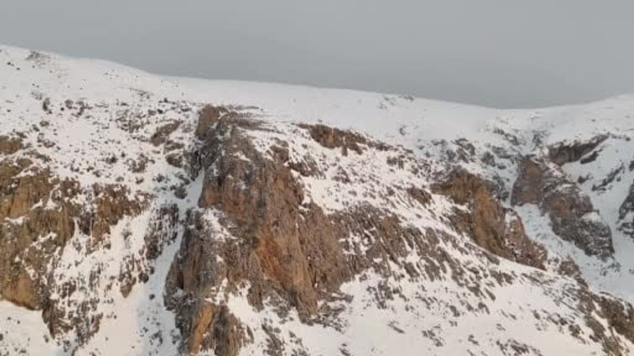 Aladağlar'da kış manzarası: Dağ keçileri drone ile görüntülendi