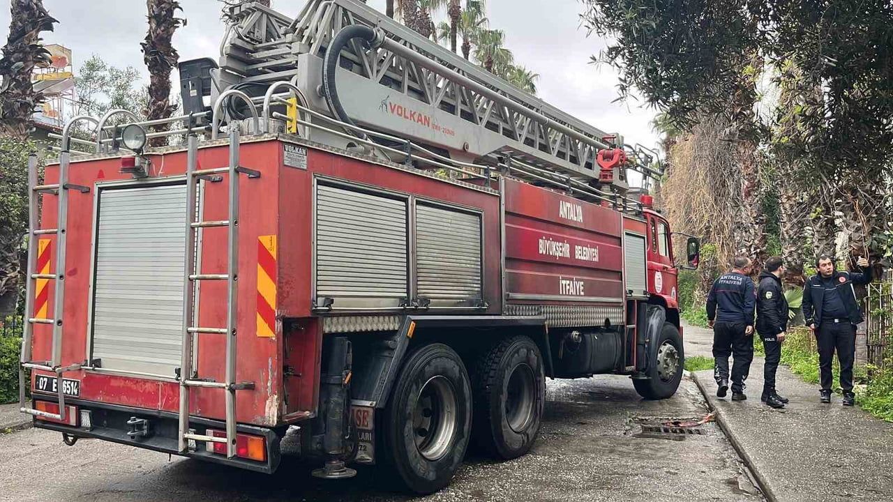Alanya'da pencereye çıkan kedi için yapılan ihbar asılsız çıktı