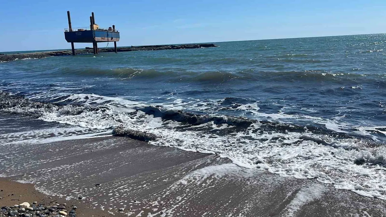Alanya Türkler Mahallesi sahilindeki siyah tabaka Posidonia yaprakları çıktı