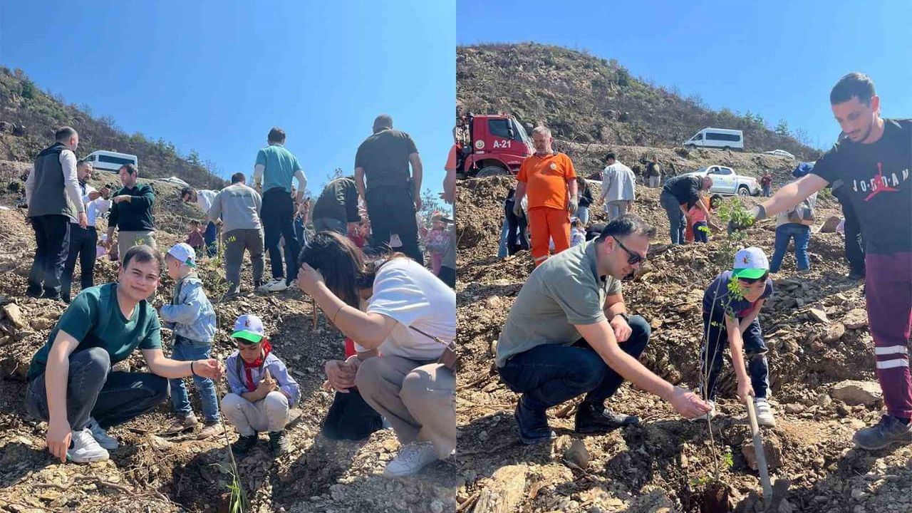 ALKÜ Uygulama Anaokulu Öğrencileri Alanya'da Fidan Dikti ve Çilek Topladı