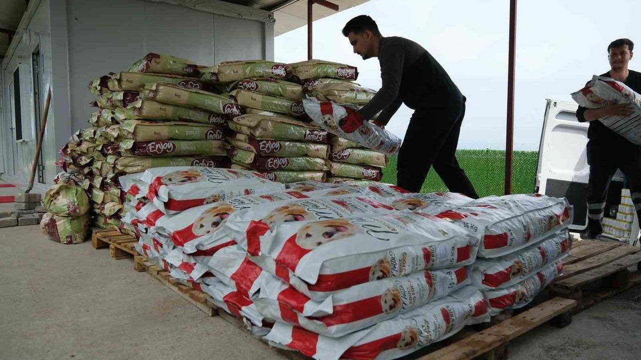 Altıeylül'de hayvanseverlerden 2 ton mama desteği: Minik Patiler Bakımevi'ne destek kampanyası